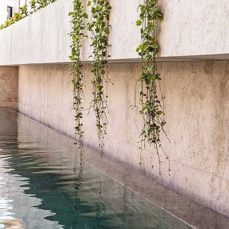 Hotel M Boutique -designed For Adults